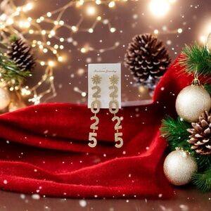 New Year's 2025 Long Fashion Earrings